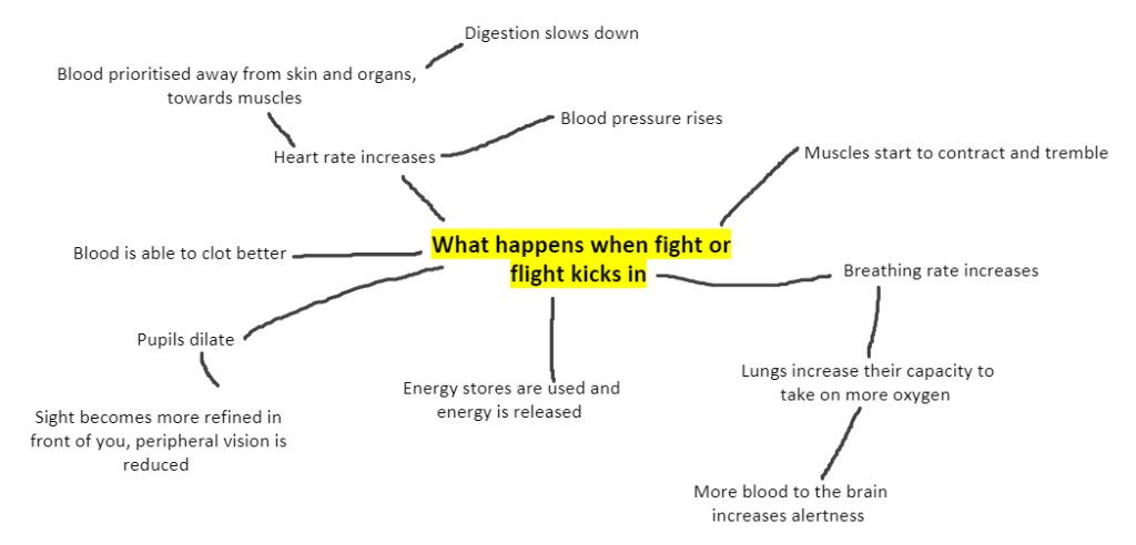How fight or flight affects us on a physical level